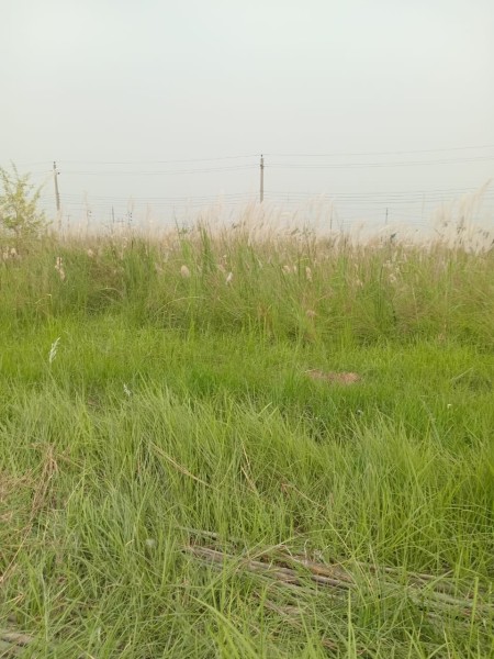 land for sale 17/C, road- 8, plot-21 uttara 3rd phase Dhaka.