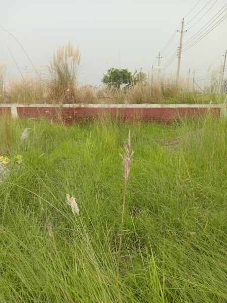 Land for sale Basundhara Block-L, plot no-3200, Dhaka.