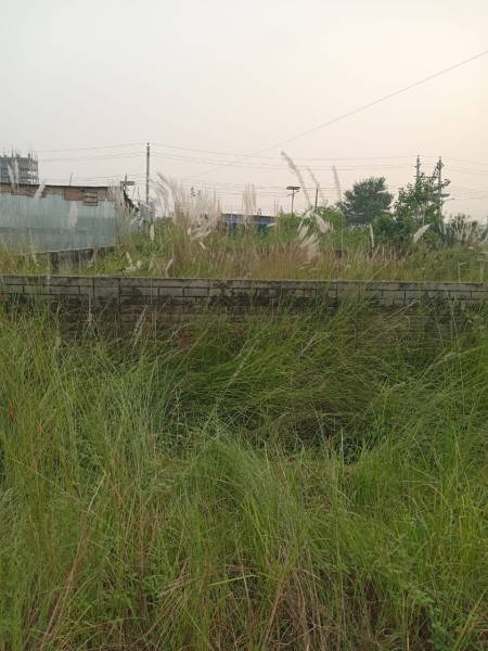 Land for sale N block serial-2400, Bashundhara Dhaka.