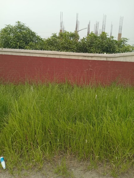 Land for sale sector -16/D,road-8, plot-26 3rd phase uttara dhaka.