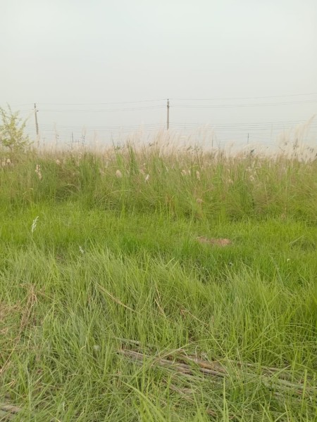 land for sale sector-16/H, Road-2,plot-8, uttara 3rd phase,