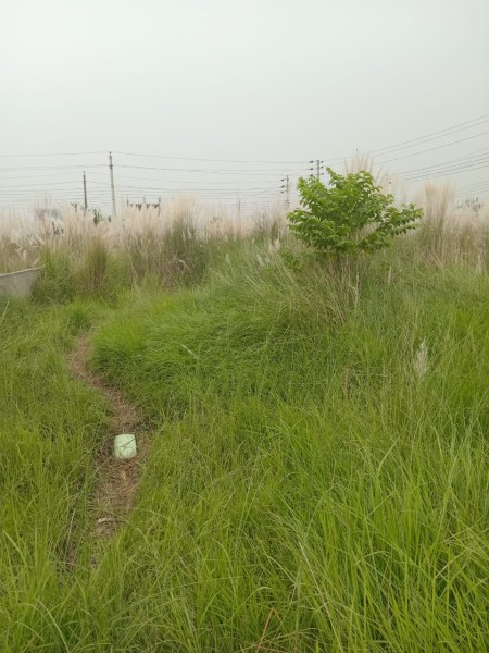 land for sale sector-17/H, Road-3/A,plot-12, uttara 3rd phase,